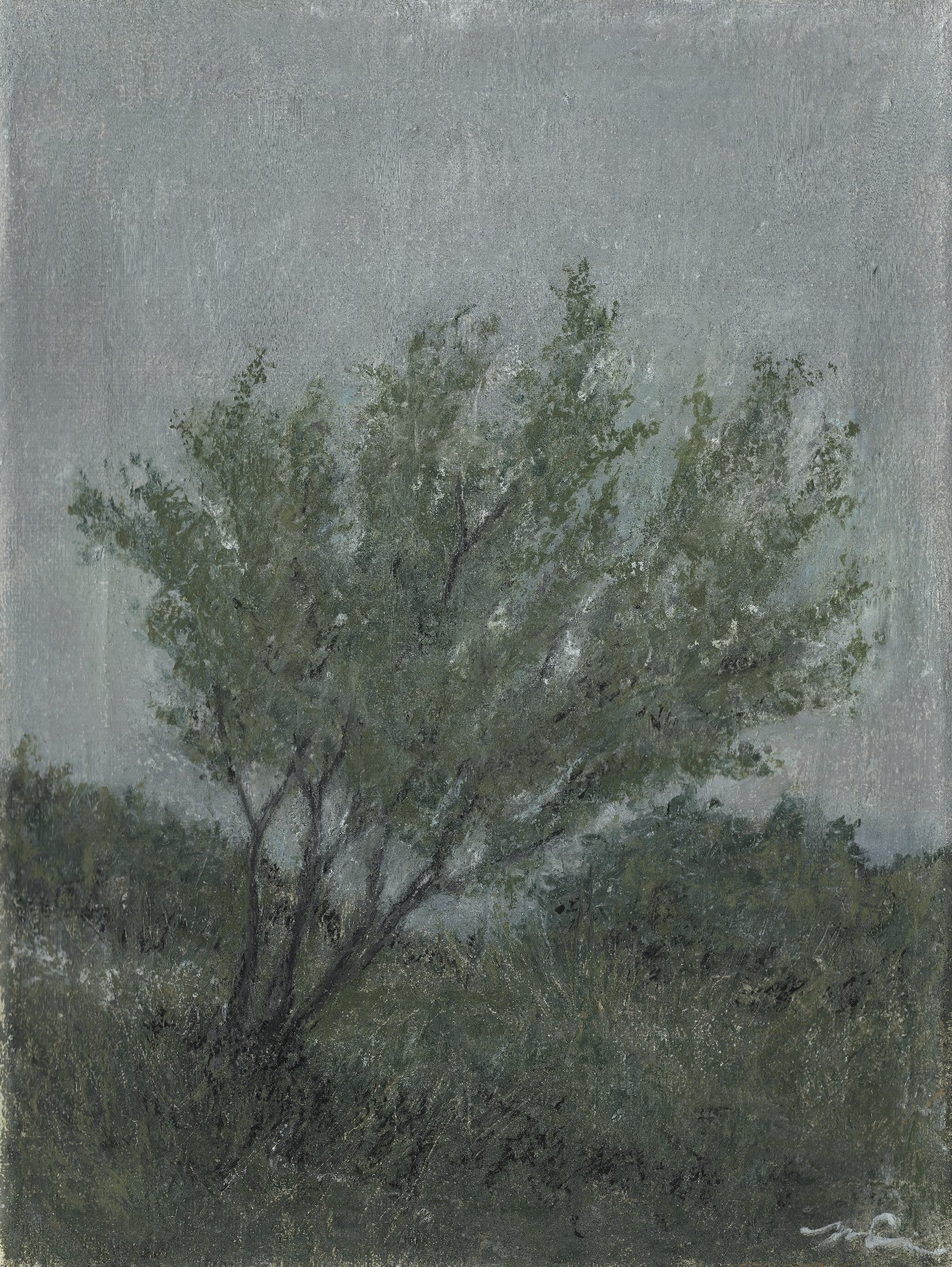 The Wanderer — solitary tree under a storm-grey sky